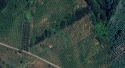 0_6004480_407707.jpg