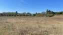 0_6004489_407707.jpg