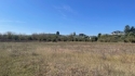 0_6004490_407707.jpg