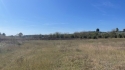 0_6004491_407707.jpg